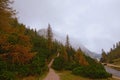 Picturesque foggy landscape. Beautiful autumn view of Vrsic Pass. Thick fog hides mountains with dense forest. Royalty Free Stock Photo