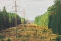 A picturesque forest clearing with power poles stretching into the distance Royalty Free Stock Photo