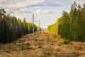 A picturesque forest clearing with power poles stretching into the distance Royalty Free Stock Photo