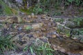 Picturesque forest landscape near Vallocchie waterfall in Castel di Tora, Lazio, Italy Royalty Free Stock Photo