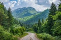 Picturesque forest and mountain landscape. scenic road for tourists exploring nature and adventure