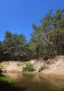 Picturesque forest river with massive trees on the banks of the afternoon in the summer Royalty Free Stock Photo