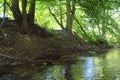 Picturesque forest river with massive trees on the banks of the afternoon in the summer Royalty Free Stock Photo