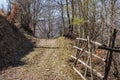 Picturesque forest road