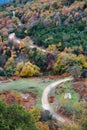 Picturesque forest scenery