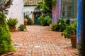 Picturesque garden courtyard with potted plants and enclosed by rustic plaster walls in vibrant hues of purple, pink, and blue Royalty Free Stock Photo