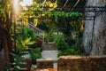 Picturesque garden on a sunny day in Herceg Novi, Montenegro