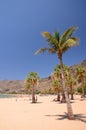 Picturesque gorgeous view on Teresitas beach on Tenerife island Royalty Free Stock Photo