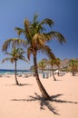 Picturesque gorgeous view on Teresitas beach on Tenerife island