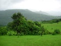 Picturesque green countryside