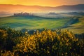 Picturesque green fields and yellow flowers at sunrise, Tuscany, Italy Royalty Free Stock Photo