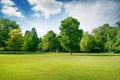 Picturesque green glade in city park. Green grass and trees.