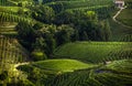 The picturesque landscape full of vineyards around the town of V Royalty Free Stock Photo