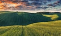 A picturesque hilly field. Storm clouds over a wheat field. Spring landscape Royalty Free Stock Photo