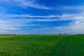 Picturesque horizon landscape scenic view of agriculture rural field with stack of hay on green grass end of summer season in