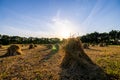 Golden Hour in the Hayfield: Sunset Over Stooks Royalty Free Stock Photo