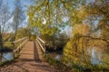 Wooden bridge in an autumnal landscape Royalty Free Stock Photo