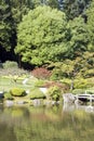 Picturesque Japanese garden Royalty Free Stock Photo