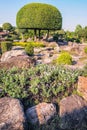 Picturesque Japanese garden.Chinese japanese garden topiary