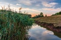 Picturesque lake among green reeds, evening landscape