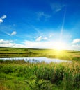 A picturesque lake overgrown with reeds Royalty Free Stock Photo