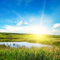 A picturesque lake overgrown with reeds Royalty Free Stock Photo