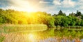 Picturesque lake overgrown with reeds. In the blue sky a bright sunrise. Wide photo Royalty Free Stock Photo