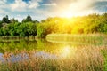 A picturesque lake overgrown with reeds. In the blue sky a bright sunrise. Royalty Free Stock Photo