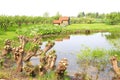 Picturesque landscape, Betuwe,Netherlands Royalty Free Stock Photo