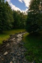 a stream flowing between two green trees and grass on a field Royalty Free Stock Photo