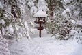 Picturesque landscape of forest with vergreen coniferous fir branches covered with snow and wooden bird feeder, cold Royalty Free Stock Photo