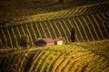 The picturesque landscape full of vineyards around the town of V Royalty Free Stock Photo