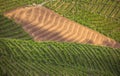 The picturesque landscape full of vineyards around the town of V Royalty Free Stock Photo