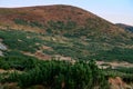 Picturesque landscape with green mountains and grassy meadow in the valley surrounded by coniferous forest on the hills Royalty Free Stock Photo