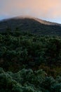 Picturesque landscape with green mountains and grassy meadow in the valley surrounded by coniferous forest on the hills Royalty Free Stock Photo