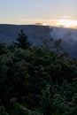 Picturesque landscape with green mountains and grassy meadow in the valley surrounded by coniferous forest on the hills Royalty Free Stock Photo