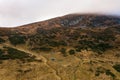 Picturesque landscape with green mountains and grassy meadow in the valley surrounded by coniferous forest on the hills Royalty Free Stock Photo