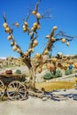 Picturesque landscape with jugs on a tree and old wagon full of clay pots Royalty Free Stock Photo