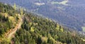 Picturesque landscape of a knurled road on a mountainside in the German forest Schwarzwald, overlooking the valley