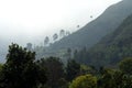 Picturesque Landscape at Kodaikanal