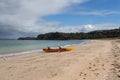 Picturesque landscape with orange kayak boat at white sand beach, Te Haruhi Bay at Shakespear Regional Park, New Zealand