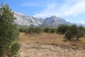 Blue sky with clouds, mountain range and olive grove on a sunny summer day, Baska Voda, Croatia Royalty Free Stock Photo