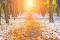 Picturesque landscape of the sun above the road. The path in the forest covered with the first snow. With blurred and bright sunli Royalty Free Stock Photo