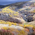 Picturesque landscape with trees in late autumn