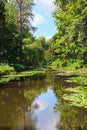 Picturesque landscape view of pond with lily pads on the surface and old trees and bushes along the lake.