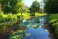 Picturesque landscape view of ponds with lily pads on the surface and old trees and bushes along the lake