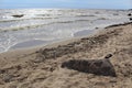 Picturesque, large lake with waves for summer holidays