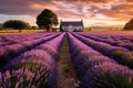 Picturesque Lavender Farm With Rows Of Vibrant Purple Blooms. Generative AI