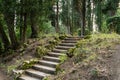 Picturesque liric landscape with old steps of staircase in Massandra park