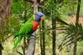 The picturesque Martinique zoo in Le Carbet in West Indies